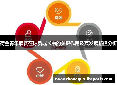 荷兰青年联赛在球员成长中的关键作用及其发展路径分析